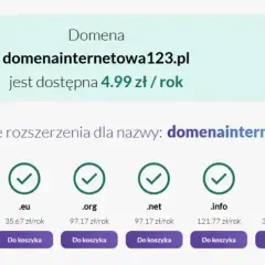 Koszty utrzymania strony: Oszacuj roczne wydatki i nie przepłacaj!